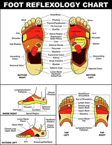 CircuFeet™ Acupressure Slippers – Improve Blood Flow & Comfort