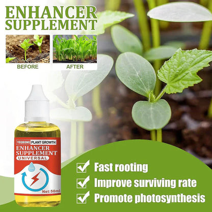 (Buy 1 Get 1 Free) Plant Growth Enhancer Supplement